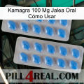 Kamagra 100 Mg Jalea Oral Cómo Usar 23